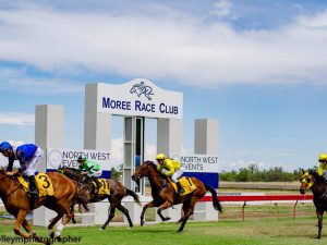 Artesian-spa-motel-moree-christmas-twilight-races-moree-race-club